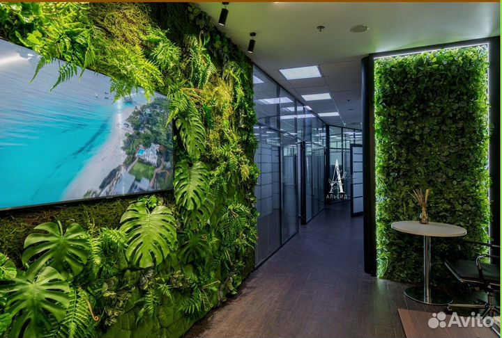 Фитокартина для природного вдохновения Арт: 214926