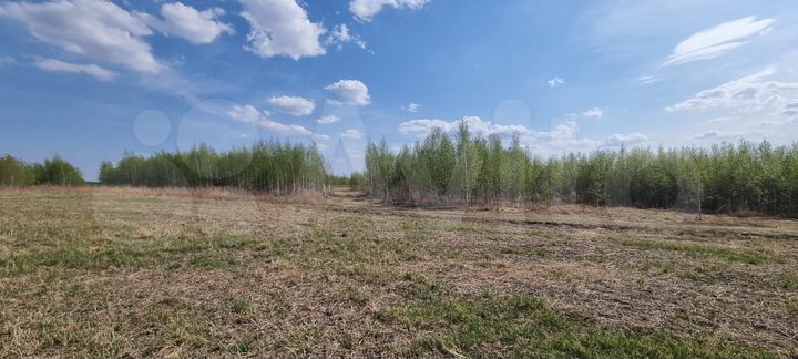 Участок 22 га (СНТ, ДНП)