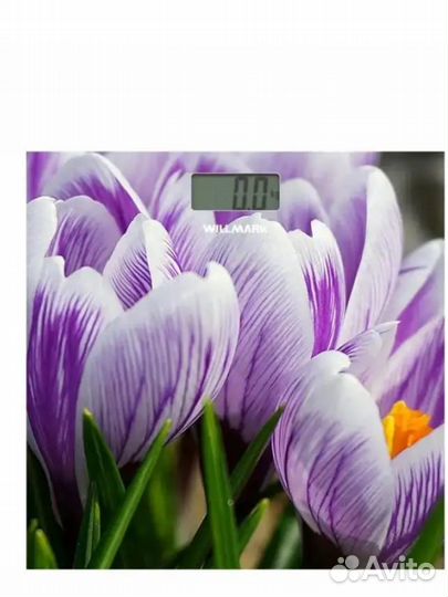 Willmark WBS-1811D Крокусы