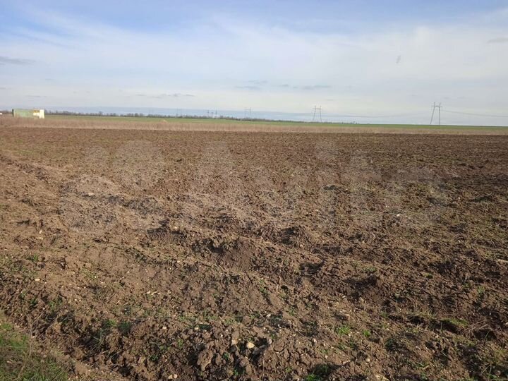 Участок 4 га (СНТ, ДНП)