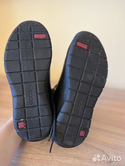Ботинки Ecco 35 женские