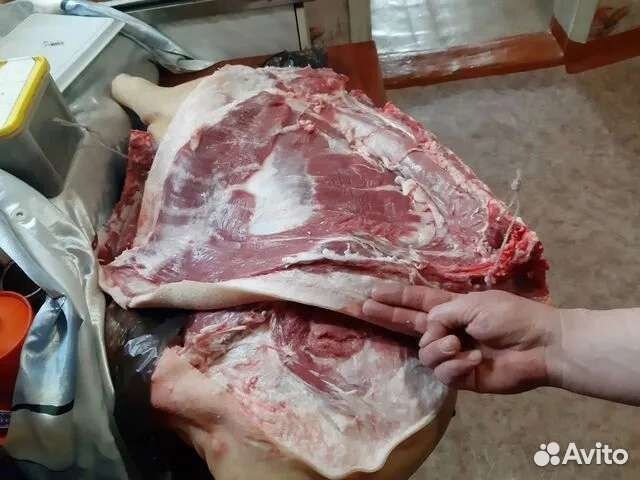 Мясо свинина домашняя
