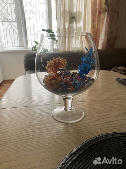 Аквариум для рыбки петушка