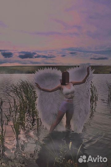 Крылья аренда