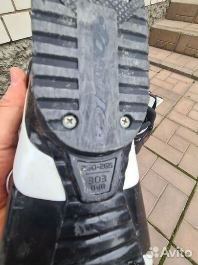 Горные лыжи комплект