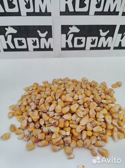 Кукуруза фасованная по 30 кг