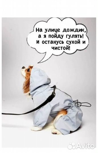 Комбинезон для собак мелких пород