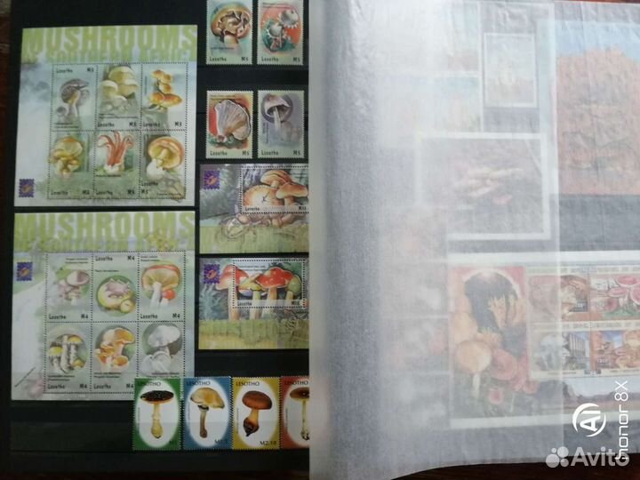 Коллекция марок с грибами