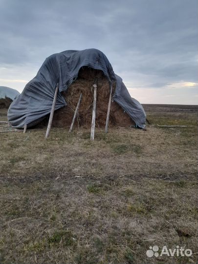 Сено,разнотравие и люцерна
