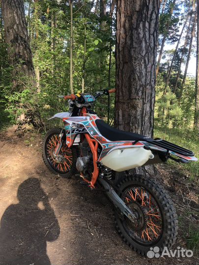 BSE Z6
