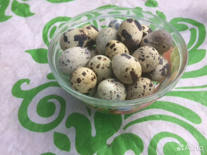 Яйца перепелиные