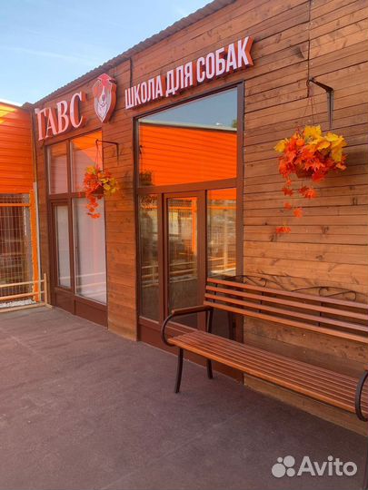 Дрессировка собак всех пород. Курс воспитания