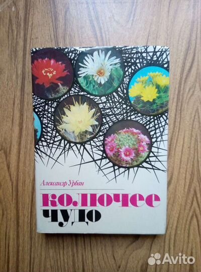 Колючее чудо. А. Урбан. 1983г