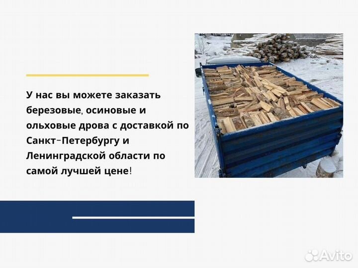 Дрова колотые березовые