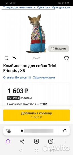Комбинезон зимний для маленькой собаки