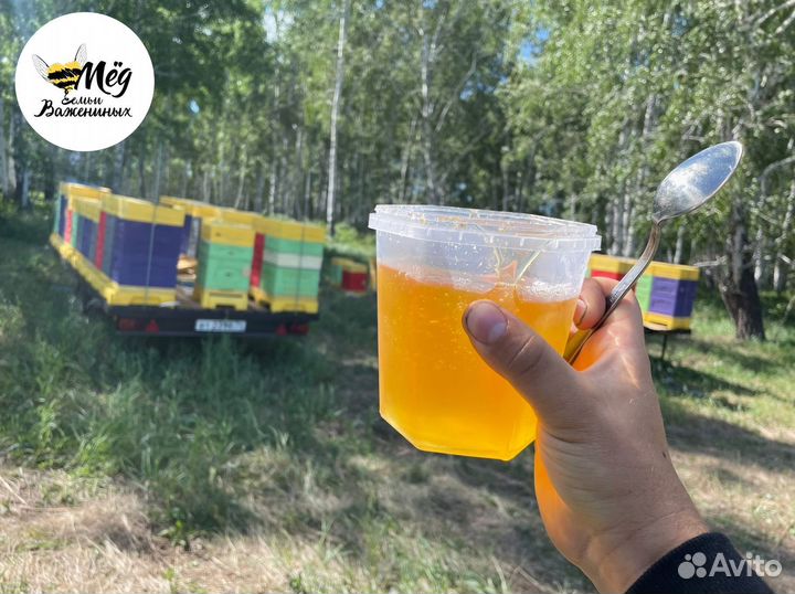 Мёд башкирский свежий. Собственная пасека