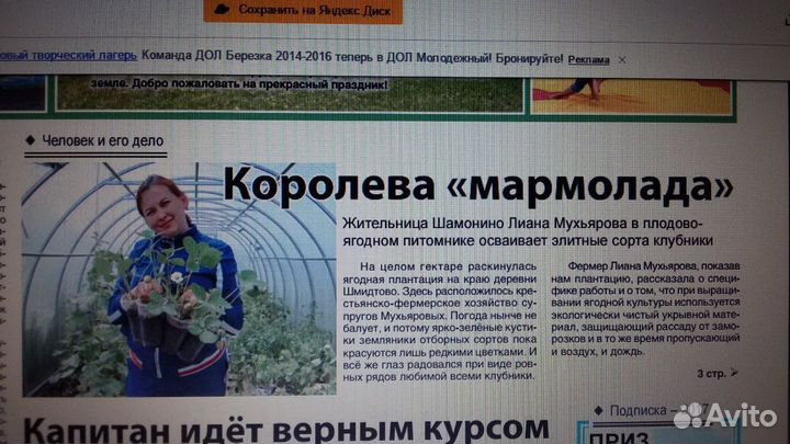 Рассада клубники. Саженцы.Питомник Фриго