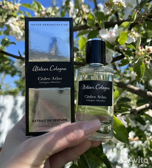 Cedre Atlas Atelier Cologne