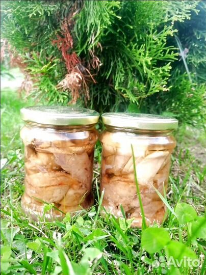 Печень трески