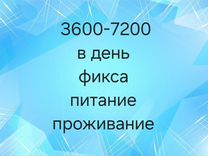 Сборщик в Казань от 15 смен