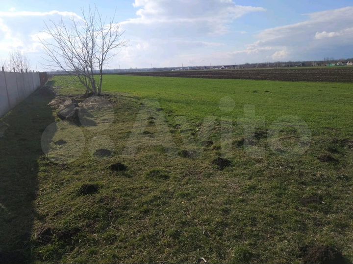 Участок 25 сот. (ИЖС)