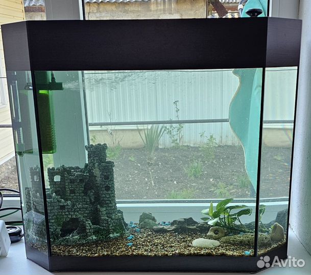 Аквариум 60л