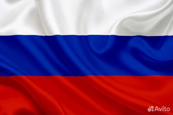 Рвп, внж, гражданство РФ, визы