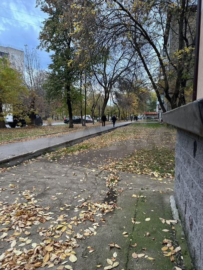 Свободного назначения, 29.8 м²