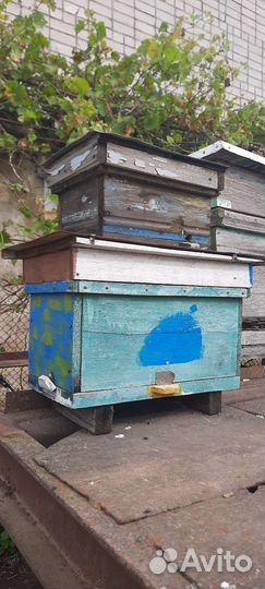 Улей для пчел б/у,рамки б/у