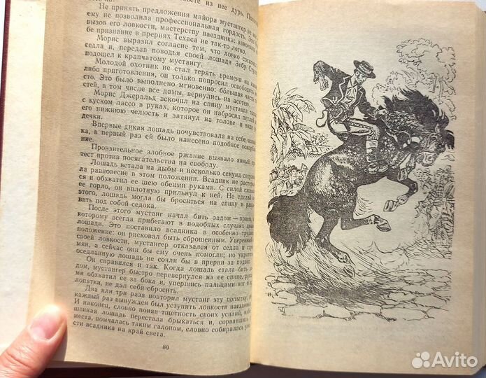 Майн Рид, Всадник без головы