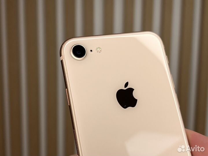 iPhone 8, 64 ГБ