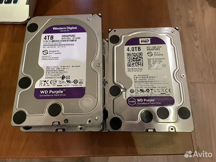Hdd wd purple 4gb