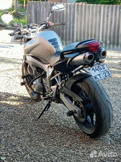 Yamaha fz6 N