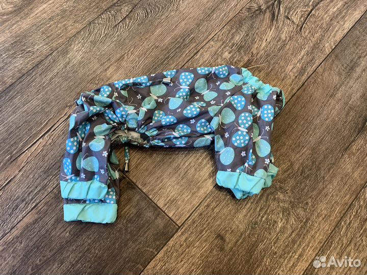 Одежда для собак