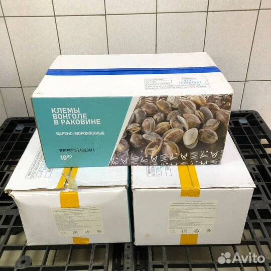 Клемы Вонголе в раковине