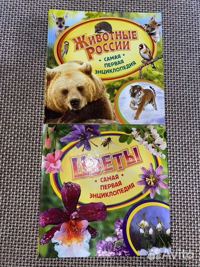 Энциклопедия