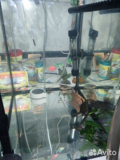Аквариум с рыбками