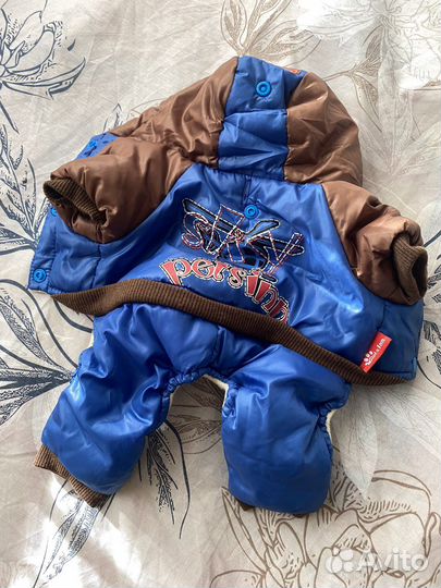 Комбинезон для маленькой собаки