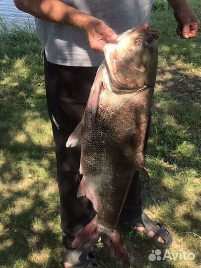 Рыбалка и отдых (с проживанием)