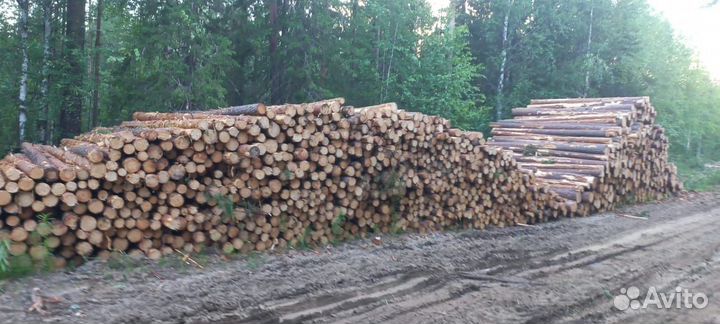 Продажа круглого леса ухта