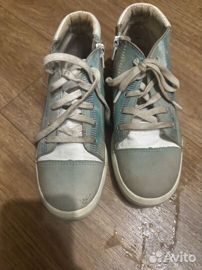 Кеды котофей кожа