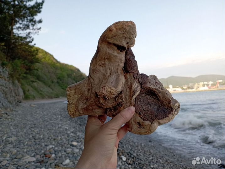 Коряги дрифтвуд для макраме и декора