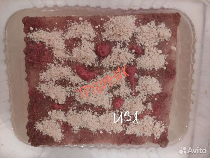 Культура трубочника разводимого(Израильский- Изя)