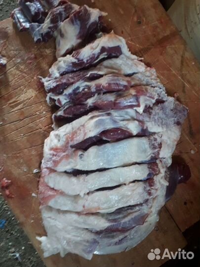 Овцы бараны