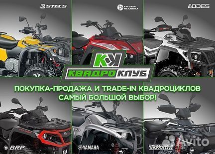 Квадроцикл wels thunder EVO ST