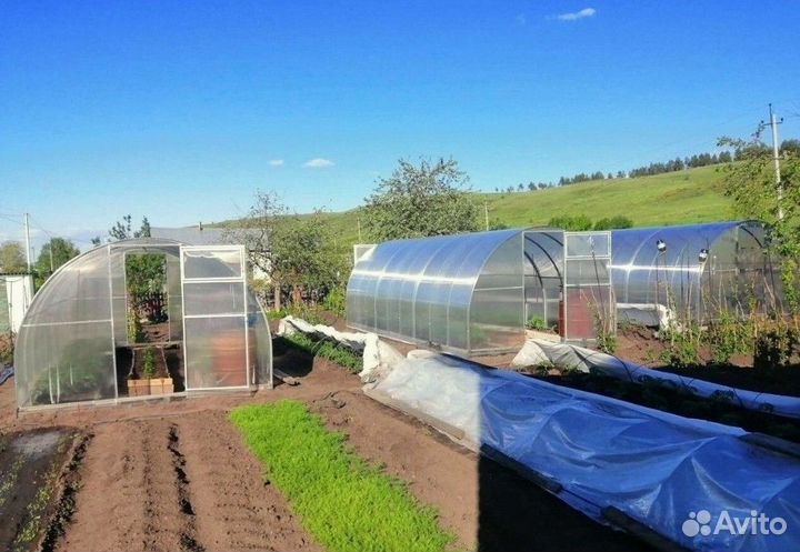 Теплица из поликарбоната