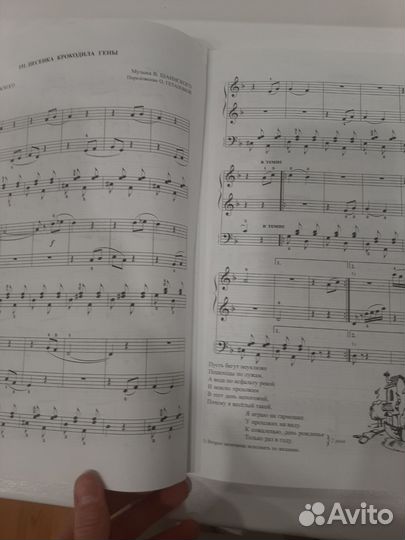 В музыку с радостью книга