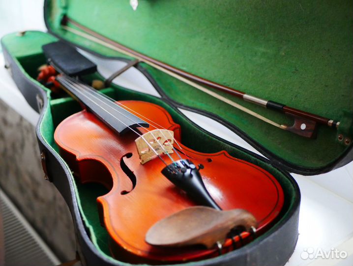 Скрипка в аренду полный комплект