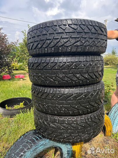 Tigar Ice 205/50 R17 93