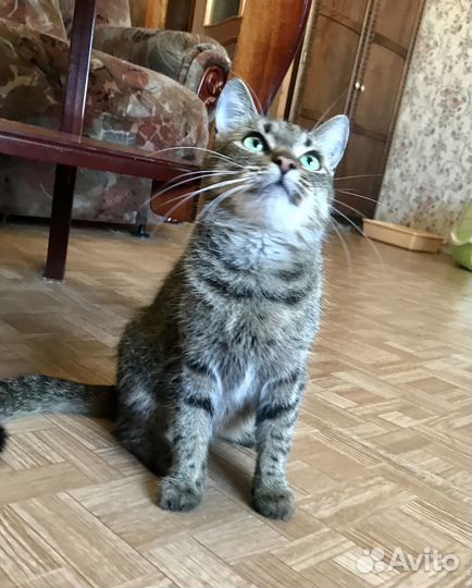 Меня выбросили